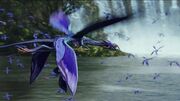 Tetrapteron