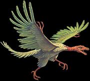 Archaeopteryx
