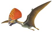 Tupandactylus