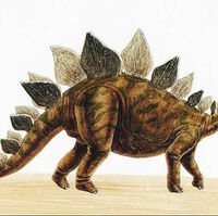 stegosaurus transformer