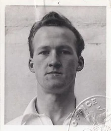 ノーマンヤング