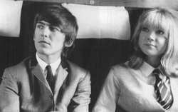 Boydharddaysnight