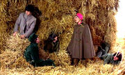 BeatlesHelp hay