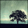 879047t251h6wqhv