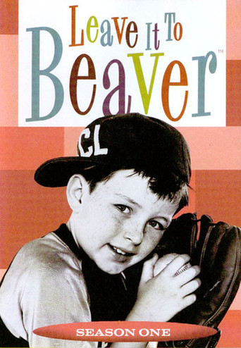the new leave it to beaver streaming
