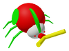 King Beetle