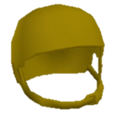Helmet