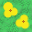 Cfcad35bd408736890feff68846ee71a