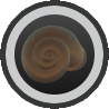 Bronze Shell Amulet