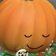 Pumpkin Patch Bee Swarm Simulator Wiki Fandom