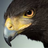 Hawk9211's avatar