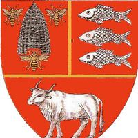 Apicultura In Romania Apicultura Wiki Fandom