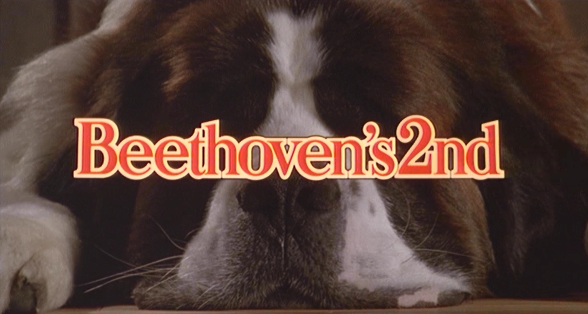 Beethoven's 2nd Beethoven the Dog Wiki Fandom