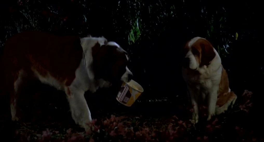 Missy Beethoven Wiki Fandom