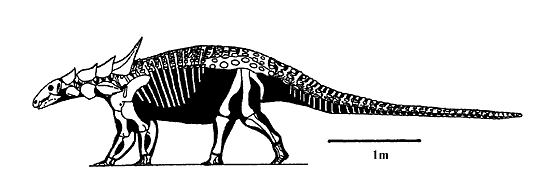 sauropelta fossil