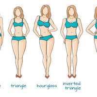 Body Types Belly Dance Wiki Fandom