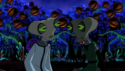 Azmuth y zennith