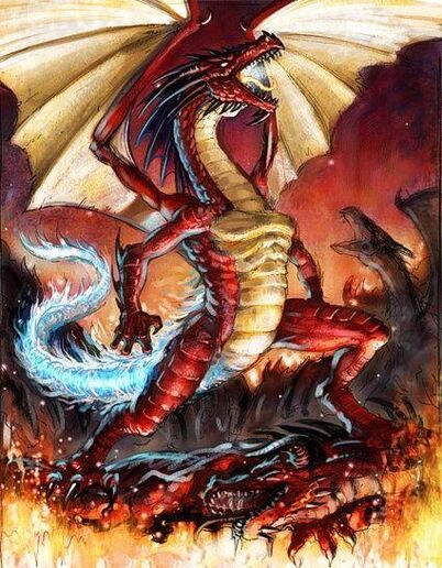 Dragones