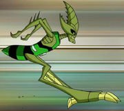 CrashhopperPulaPula