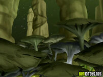 Giant fungals