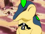 Cyndaquil Tranfock