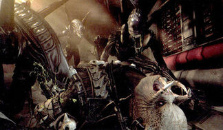 Alien-vs-predator-2010-1-