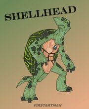 ShellHead