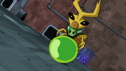 Ball Weevil ball
