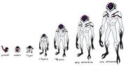 Images19