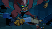 Kickin Hawk004