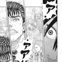 Barrier Berserk Wiki Fandom