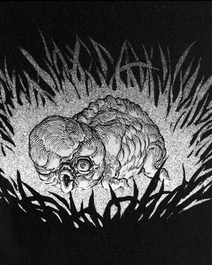 Berserk Griffith Son Learn more here you are seeing a 360° image instead. berserk griffith son