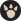 Mvt