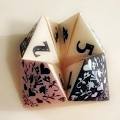 Cootie catcher picture