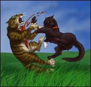 180px-Assassinat Etoile Du Tigre