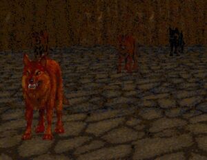 FireWolvesWaste