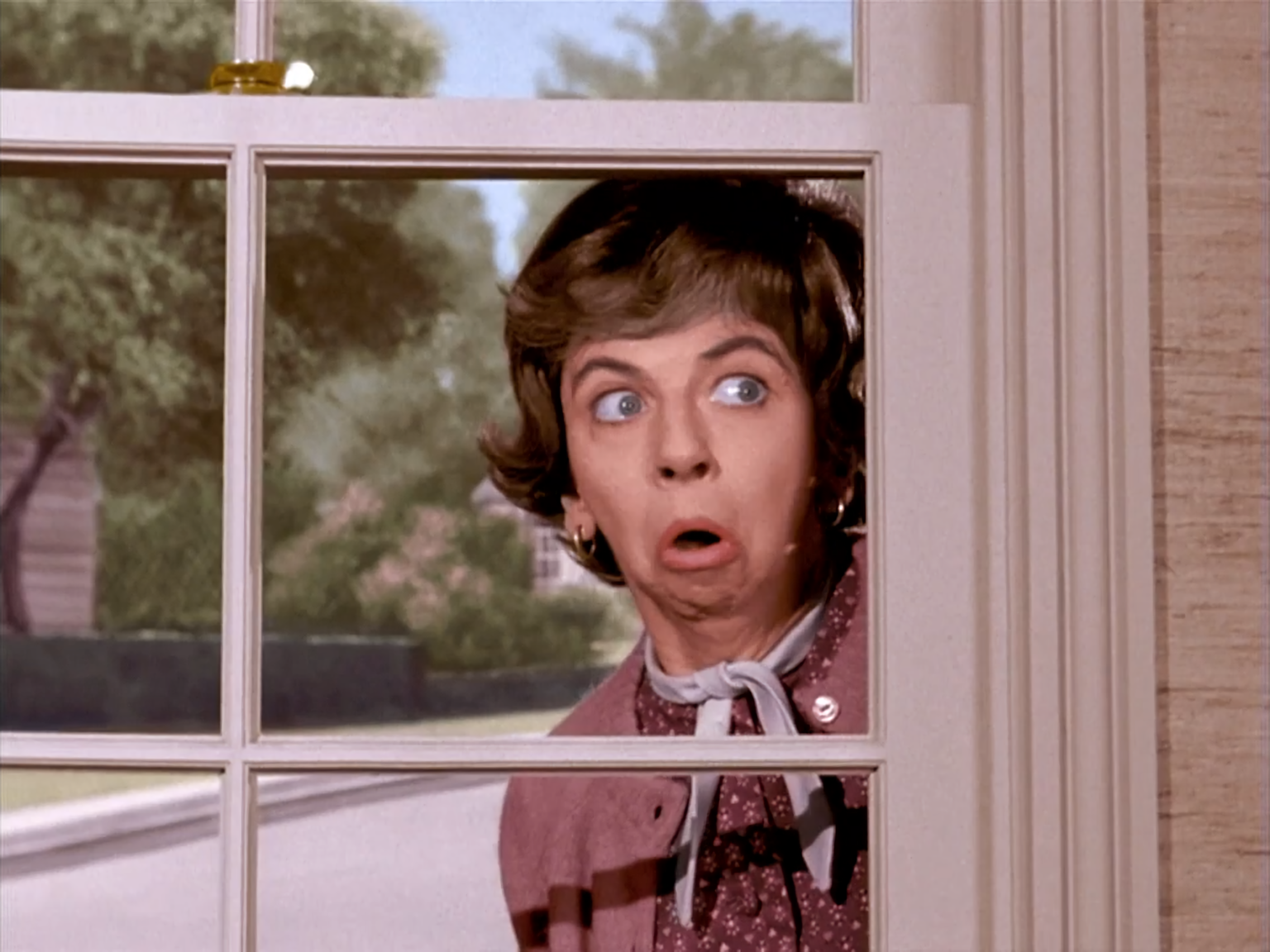 Gladys Kravitz Bewitched Wiki Fandom Powered By Wikia
