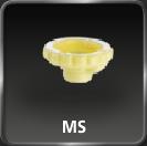 MS