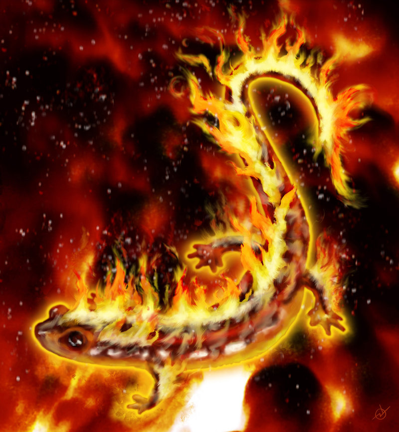 Banhi - Banhi, The Red Salamander Latest?cb=20120412162237