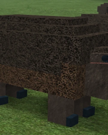 Boopig Beyond The Stars Roblox Wiki Fandom - copper beyond the stars roblox wiki fandom powered by wikia