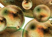 Antimultiverse