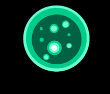 Sortaverse
