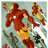 Avatar de Marvel08