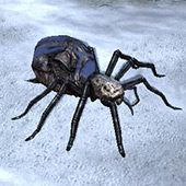 Shelob