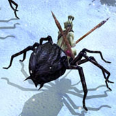 Spiderriders