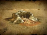 Fissure icon