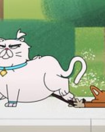 Cat Walkers Boy Girl Dog Cat Mouse Cheese Wiki Fandom