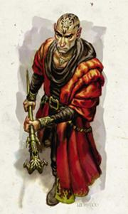 Red wizard