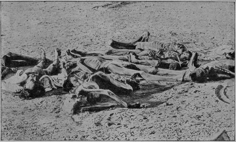 Famines In British Ruled India Their Causes And Consequences