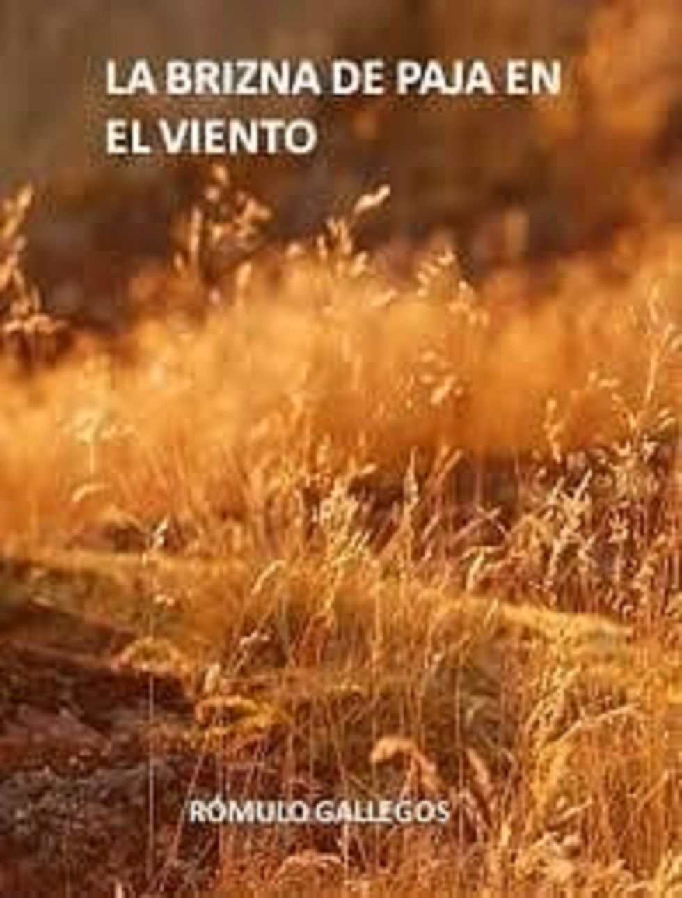 latest?cb20190905023155&amppath prefixes - La brizna de paja en el viento (Rómulo gallegos) - (Audiolibro Voz Humana)